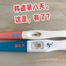 试管小助理
