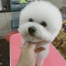马志芳