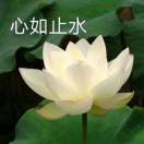 郑先生的头像
