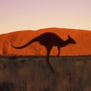 邓兴权13558764195