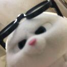 黄梦菲