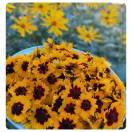 李洪霞13845644561