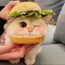 太彬蓉
