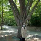 石杰的头像-华闻时空