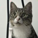 LNSS的头像-秀琴曲谱网