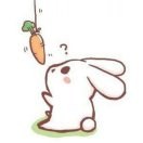 一支会飞的兔子