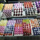 AA付姐(索菲亚可可)