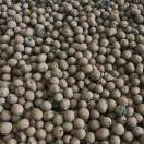 陶粒生产厂家的头像-龙猫科技站