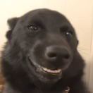 Blow的头像-梦马考研