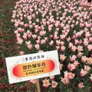 会计宝