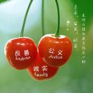 真诚-17983