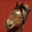 Recording.的头像-秀琴曲谱网