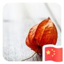 心。随行的头像