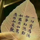 释道申（明观）