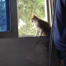 https://thirdwx.qlogo.cn/mmopen/vi_32/hPUeyxe9IXcQ9wbnpjkDywraibjcRY1gv66jDjZhOyILlyTgZoib4CTibwiazjMjtlMz8kfO6M2cL6rkvbvDpAa0ZQ/132