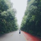 嬷嬷的头像