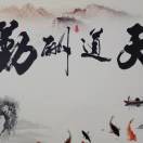 马先生的头像