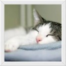 小草-快维微社区