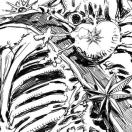 DVORA 175转租&房东直租