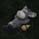 比奇堡资深良民