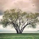 你好，幻先生30310