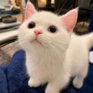 云起
