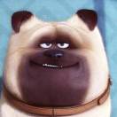 杨先生的头像