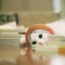 券妈妈会员: sunny.