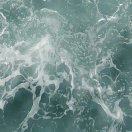 听海涛的头像