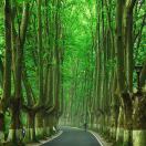 东哥的头像-传承国学正统持焰学堂