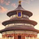 空中游隼