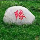 静心的头像