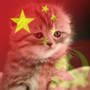 賢賢