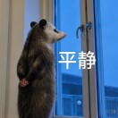 刘宗雨