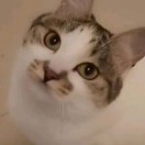 丨
