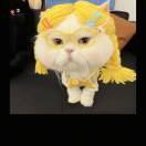 啊🙀