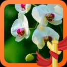 我是我的头像-熵减岛