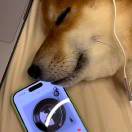 梓欣的头像-梦马考研