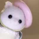 vcfbn的头像-小白Blog