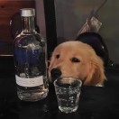 寇立伟