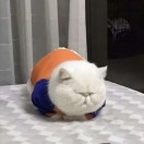 lht