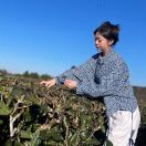 u客直谈实名认证赵昱