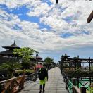 小林哥的头像-秀琴曲谱网