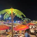 蒙特瑞四季草莓小庄