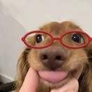 刘珊珊
