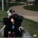兰红