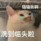 乐祺