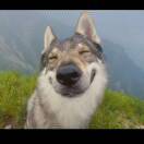 吕阳的头像-助眠云视听