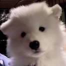 阿祖的头像-cg男孩