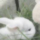 曹雨慧